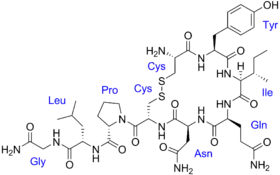 Image illustrative de l’article Ocytocine