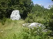 La pierre Blanche, à la pointe du Scal, à l'ouest de Tréhiguier.
