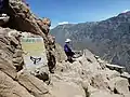 Cruz del Condor au Canyon de Colca