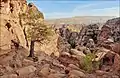 Un wadi dans le djebel.