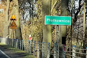 Płatkownica