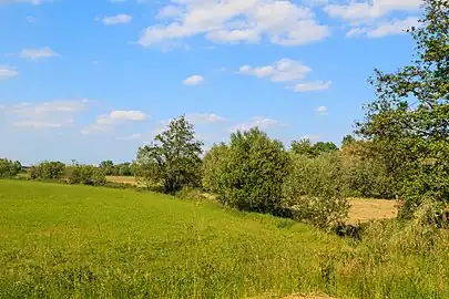 Espace naturel protégé à Bystřice.