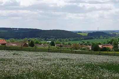 Campagne autour de Přeborov.