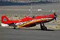 Dago Red, courses aériennes de Reno, 2004.