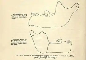 Image illustrative de l’article Moulin Quignon