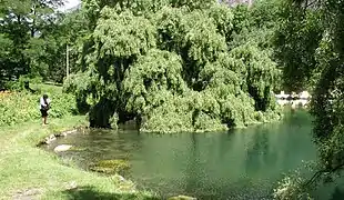 Source du lac du Lauzet en été.