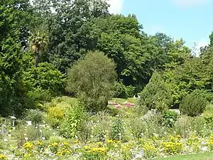 Jardin des plantes.