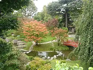 Jardin japonais contemporain.