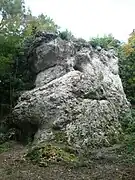 Roche avec deux anciens lits de la Marne.