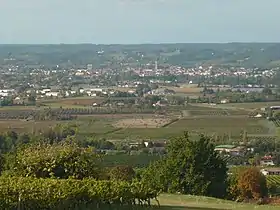 Vue sur Bergerac depuis le château de Monbazillac.