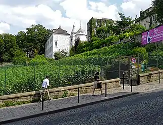 … et la vigne de Montmartre.