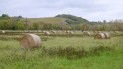 Champs avec des balles de paille ; en arrière-plan au-delà du bras de la Loire, les coteaux vinicoles de Savennières.