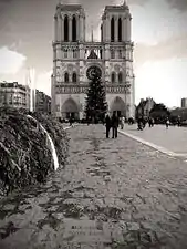 Le tracé de l'ancienne rue Neuve-Notre-Dame.