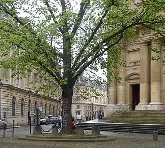 Autre vue de l'arbre avec le panneau Histoire de Paris sur la gauche de l'image.