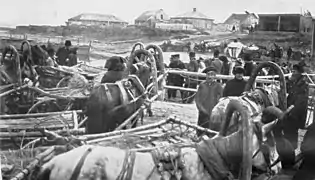 Une péniche transportant des chariots à chevaux sur l'Ienisseï, 1913.