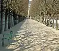 Une allée du Palais-Royal.