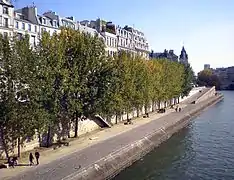 Promenade aménagée le long du quai, vue du pont Neuf (2010).