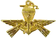 Badge PASKAL