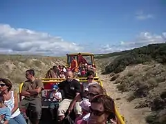 Un train dans les dunes.