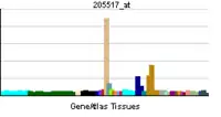 Image illustrative de l’article GATA4