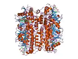 Image illustrative de l’article Énoyl-coenzyme A hydratase