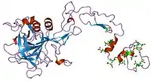 Description de l'image PDB_1pfx_EBI.jpg.