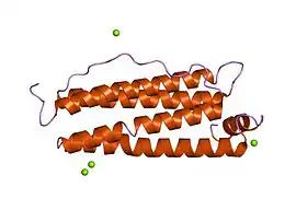 Image illustrative de l’article Ferritine