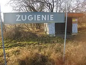 Żugienie