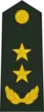 Lieutenant General