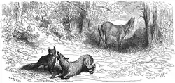 Image illustrative de l’article Le Renard, le Loup et le Cheval