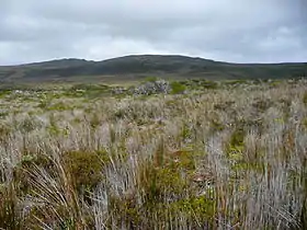 Paysage de l'île, à l'intérieur du parc national Cabo de Hornos