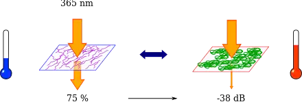 Pour T < LCST, le PNIPAM est transparent et laisse passer 75 % du signal lumineux à 365 nm. À T > LCST, le PNIPAM se replie et devient opaque, provoquant une atténuation de -38dB par rapport à l'état transparent.