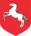 Blason de Konin