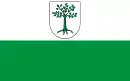 Drapeau de Kruszwica