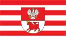 Drapeau de Powiat de Bielsk Podlaski