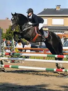 cheval noir monté par une femme et passant au-dessus d'un obstacle