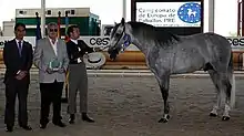 Un cheval gris avec un flot à droite, des hommes tenant un prix à gauche.