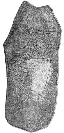 Morceau d'ivoire irrégulier avec une gravure de Mammouth laineux vu de profil au milieu.