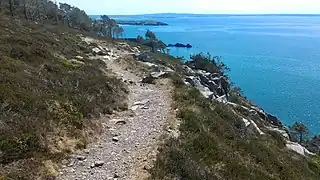 Le sentier GR 34 à la pinède de Trez Bihan.