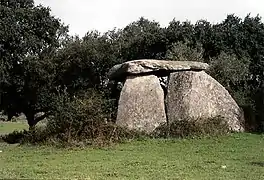 Le dolmen Anta do Paço das Vinhas