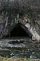 Paštrić - Ribnica - Ribnica cave