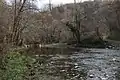 Paštrić - Ribnica - Rivière Ribnica