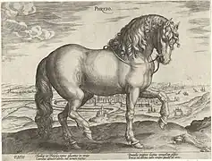 Gravure de Frison par Jan van der Straet (1523-1607)