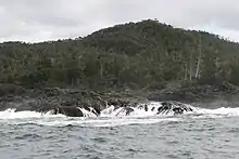 Une forêt derrière des rochers et la mer.