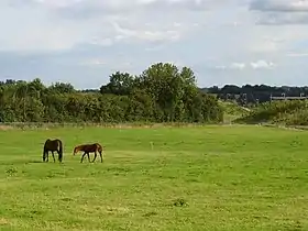 Lenham Heath