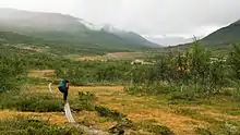 Une personne sur un chemin couvert de planches en bois dans une vallée de basses montagnes.