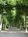 Entrée du jardin botanique de Padrón