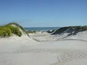 Vue d'une dune conduisant aux eaux du golfe du Mexique