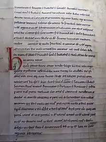 Photographie d'un manuscrit enluminé.
