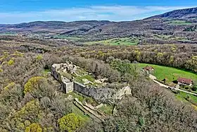 Les ruines du château de Vaulgrenant.